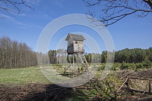 Wooden deer stand looks like elevated tiny house with ladder situated on small glade in the middle of forest, blue sky and sunny