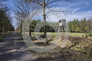 Wooden deer stand looks like elevated tiny house with ladder situated on small glade in the middle of forest, blue sky and sunny