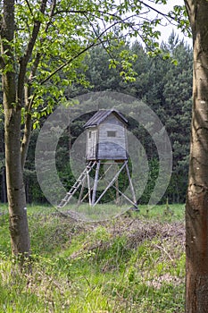 Wooden deer stand looks like elevated tiny house with ladder situated on small glade in the middle of forest in sunlight