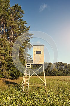 Wooden deer and wild boar hunting blind stand on a field at sunset