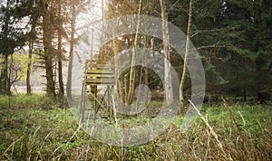 Wooden deer and wild boar hunting stand in forest