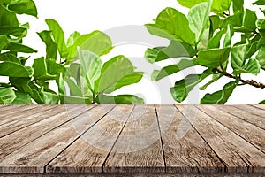 Wooden desk with fresh fig green leafs as frame Wooden stand for product advertisement background