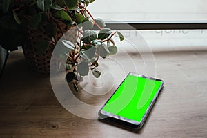 Wooden desk with smartphone and plant. Top view. Green Screen for blank phone