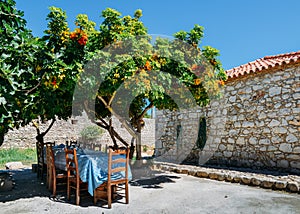 Wooden dining table set in lush garden