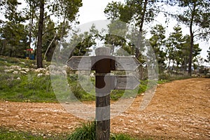 Wooden direction sign with two arrows in opposite directions on white background