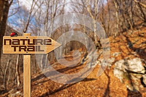 Wooden Directional Sign with Text Nature Trail - Mountain Path