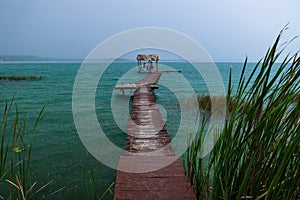 Wooden dock between grass leading into lake Itza while rain in El Remate, Peten, Guatemala