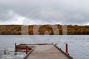 Wooden dock on the Superior lake surrounded by yellowing trees on a gloomy day in autumn in Michigan