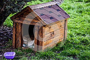 Wooden Dog Hut In The Garden