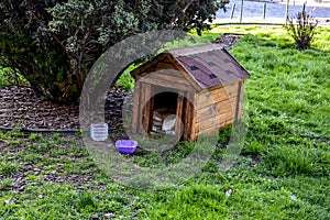 Wooden Dog Hut In The Garden