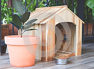 Wooden dog`s house with dog food bowl  in balcony decorated with houseplant in plant pot