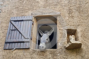 Wooden donkey looking out of the window of a traditional house in Sant Antonino, Balagne. Corsica, France.