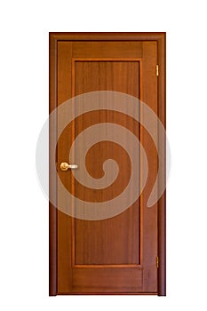 Wooden door #7