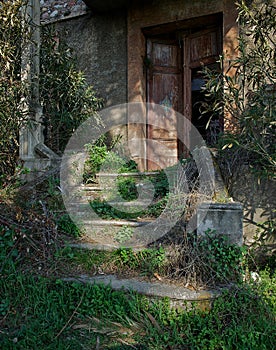 Wooden door of an abandoned house photo