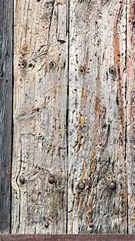 Wooden door background with a metallic rusty screws.