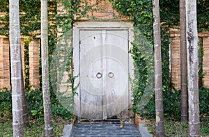 Wooden door in brick wallwith palm trees in front in Chiang Mai, Thailand. Travel concept. Ancient architecture. Lanna style