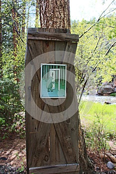 A wooden door in the forest with a whimsical bear bathroom sign photo