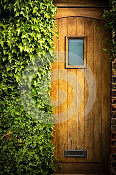 Wooden door half overgrown by ivy