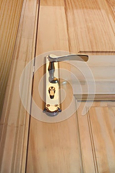 Wooden door and handle