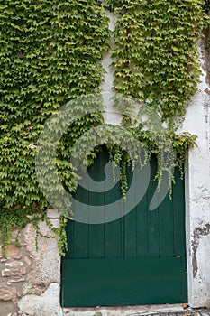 Wooden door with ivy covered facade