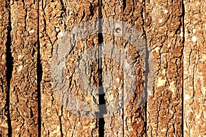 Wooden door with old natural pine bark outdoor texture