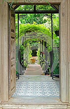 Wooden Door Opens to Tropical Garden