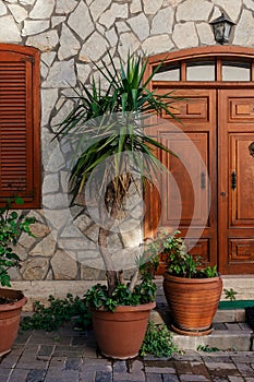 Wooden door with a porch in an old house and flowers with pots near the wall.