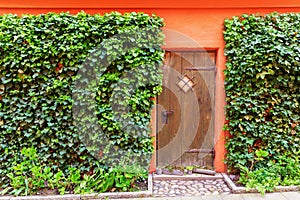 Wooden door of a red painted, ivy overgrown house