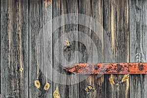 Wooden door with rusty hinges