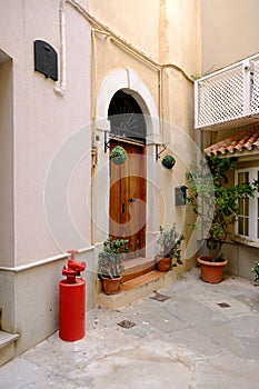 Wooden door in a street in Malaga, Spain, decorated with flowers and plants, vertical