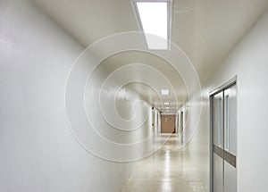 Wooden door on white and clean corridor