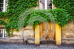 Wooden doors covered by green leaves