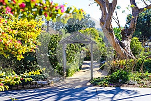 A wooden doorway with a dirt path to the discovery garden surrounded by lush green plants and trees