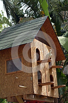 Wooden dovecote