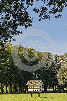 Wooden dovecote in a park in Overijssel, The Netherlands