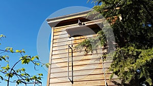 Wooden Dovecote With Pigeon In A City Park