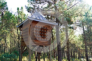 Wooden dovecote on stilts for pigeon dove bird