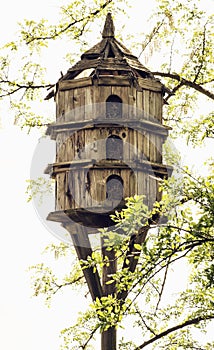 Wooden dovecote and tree branches