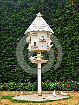 Wooden dovecote with white doves