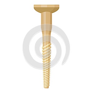 Wooden dowel screw isolated on white photo