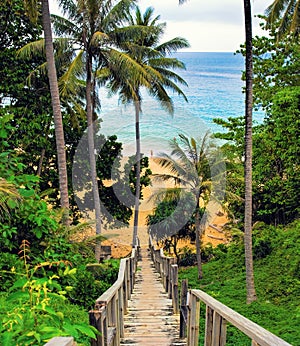 Wooden down stairs to the beach, with palms around. Phuket, Thai