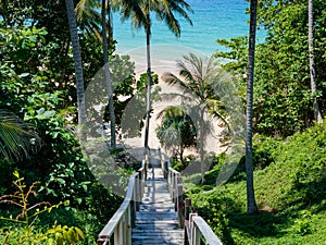 Wooden down way stairs to the beach, with palms around. Naithon beach, Phuket, Thailand