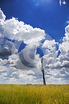 Wooden draw well in the field