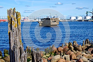 Wooden driftwood with moss and rocky shore against the background of the port in Ventspils, Latvia