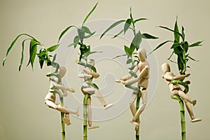Wooden dummies clinging onto lucky bamboo plants. Conceptual image