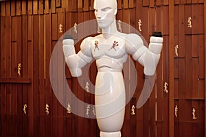 wooden dummy with marks from wing chun training in a gym