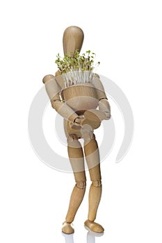 Wooden dummy and pot with cuckooflower