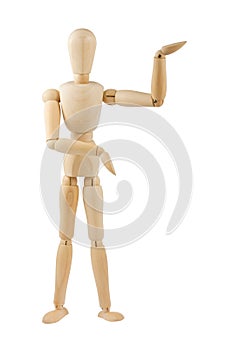 Wooden dummy showing product