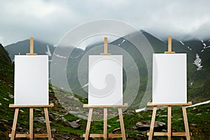 Wooden easels with blank canvases in mountains