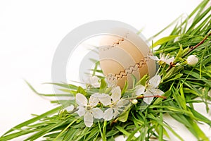 Wooden easter egg in a green grass nest
